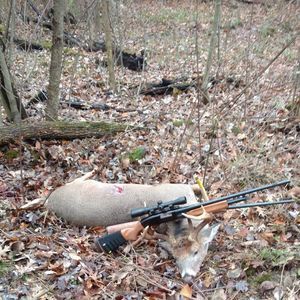 Meet your Posher, Jake